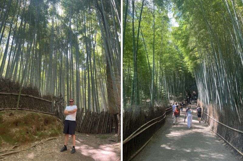 Arashiyama Bamboo Forest close to Kyoto, Japan