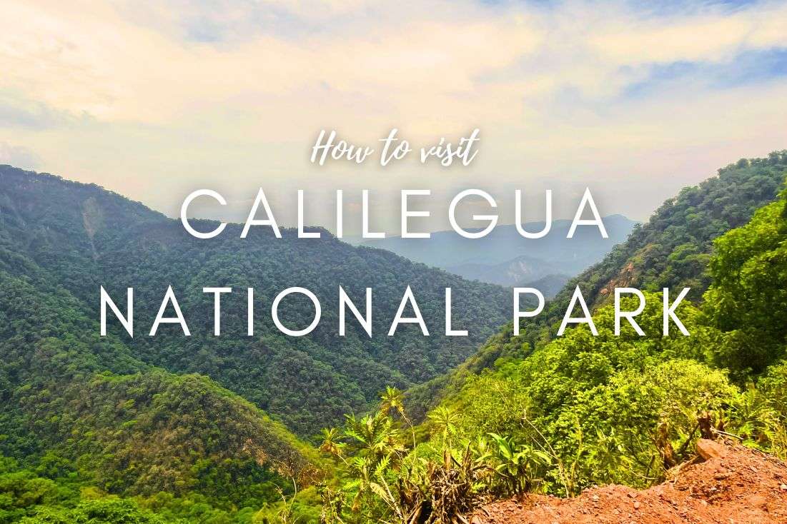 Calilegua National Park Guide—How to Visit and FAQs