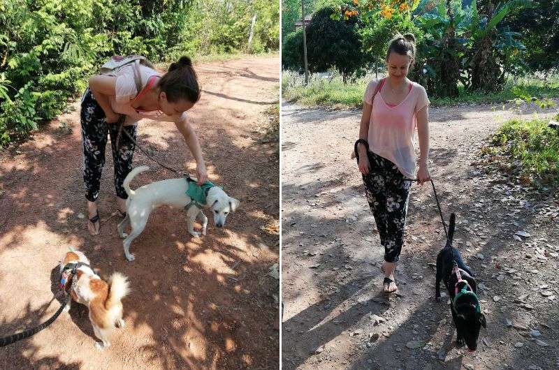 Walking the dogs at Lanta Animal Welfare on Koh Lanta, itinerary and guide, pictures by Next Level of Travel