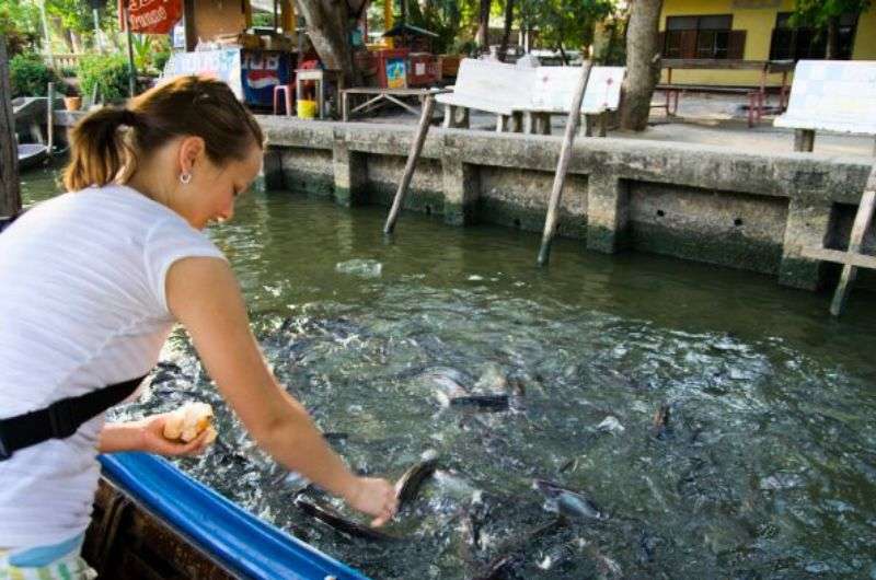 Feeding fishes in the Khlong river in Bangkok, itinerary by Next Level of Travel