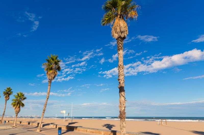 Malvarrosa beach in Valencia, Spain, day trip from Madrid