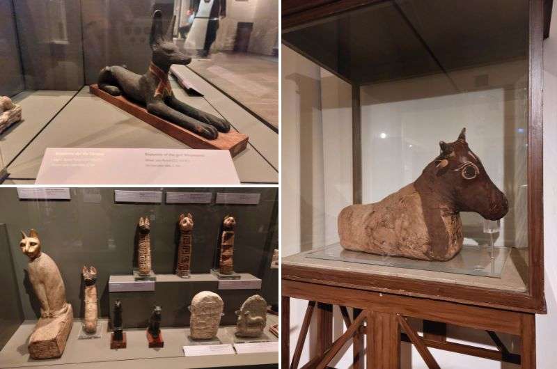 Animal mummies exhibits in Egyptian Museum in Turin, photo by Next Level of Travel