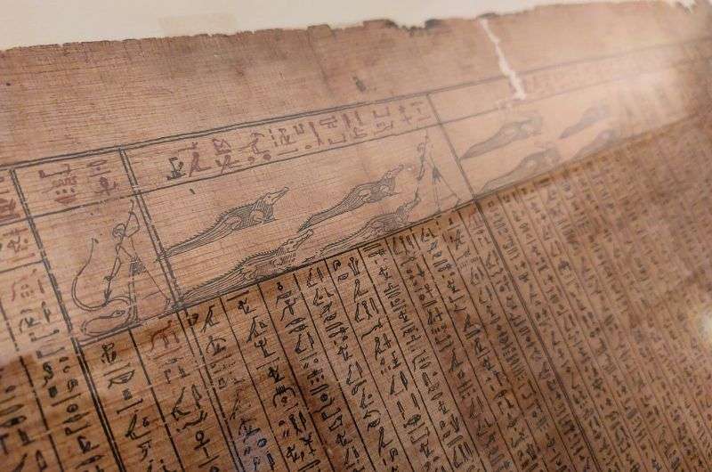 The 18-meter long papyrus in Egyptian Museum in Turin, photo by Next Level of Travel