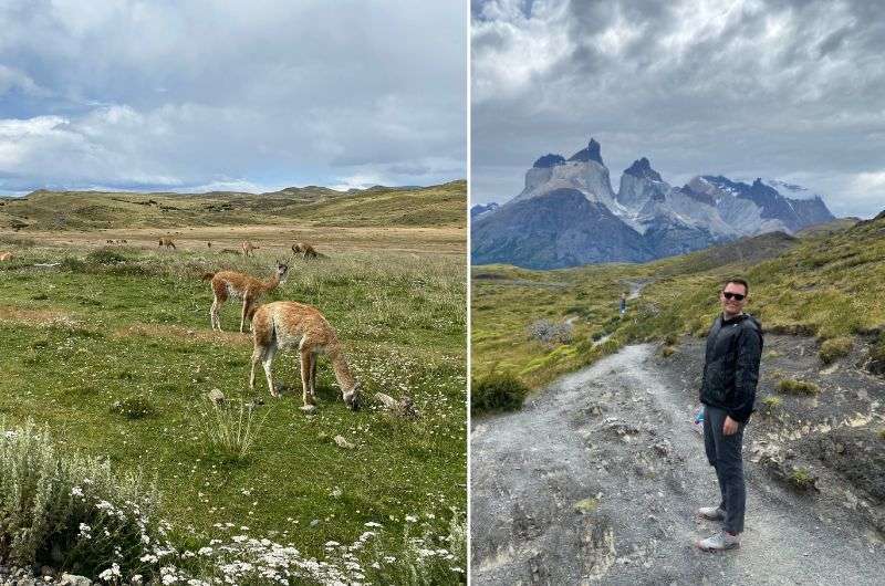 Guanacos and the trail to Cuernos Lookout, Torres del Paine best day hikes, photos by Next Level of Travel