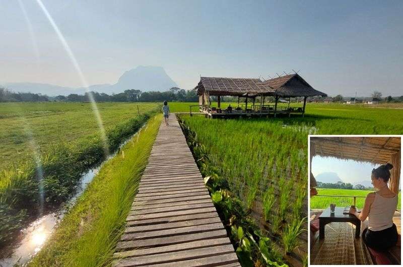 A wooden walkway to the cafe in the middle of the rice fields in Chiang Dao, northern Thailand itinerary