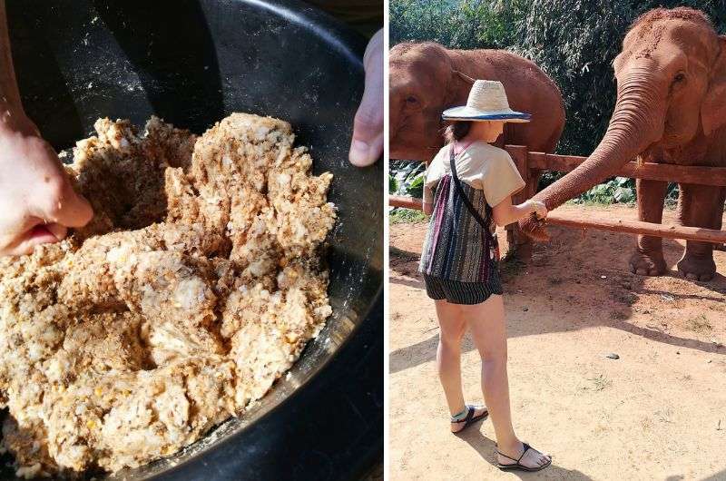 Making medicine balls and feeding the elephants in Thailand, photos by Next Level of Travel