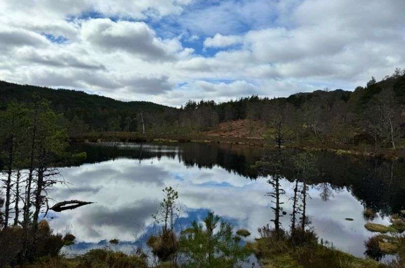 Glen Affric Circular trail in Loch Ness, Scotland, photo by Next Level of Travel