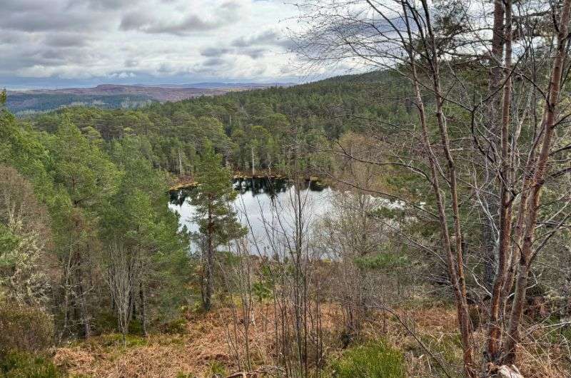 Loch Ness in Scotland, photo by Next Level of Travel