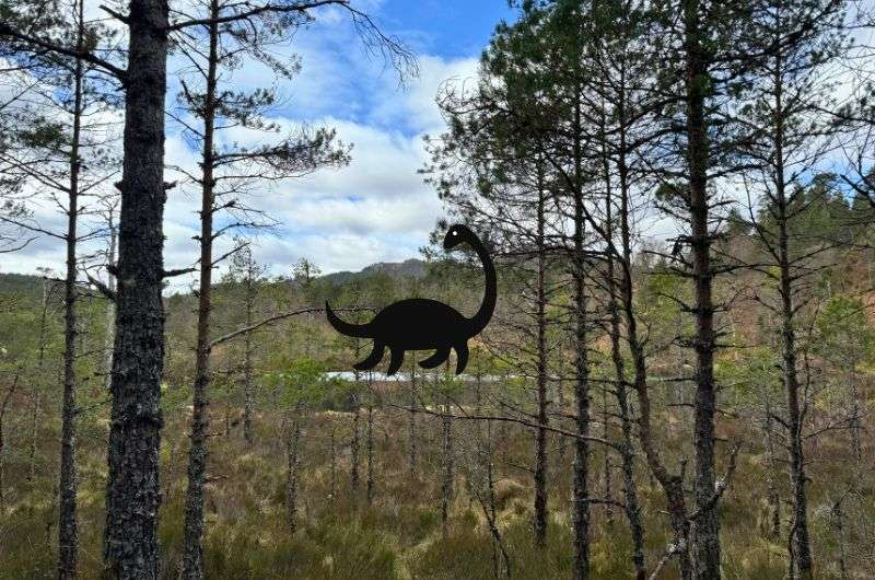 The Loch Ness monster, photo by Next Level of Travel