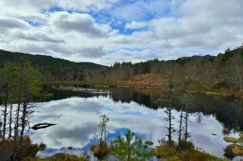 Glen Affric Circular trail in Loch Ness, Scotland, photo by Next Level of Travel