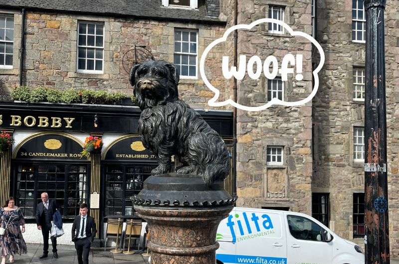 Greyfriars Bobby Statue in Edinburgh, photo by Next Level of Travel