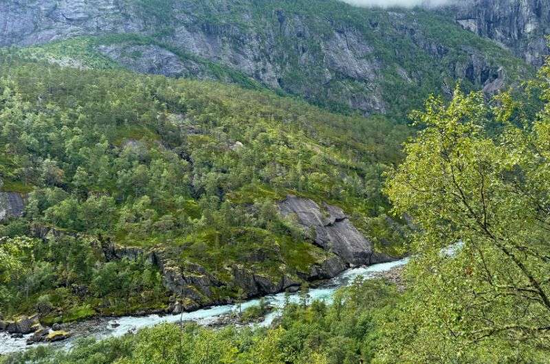 Natural scenery on the Nykkjesøyfossen hike in Norway, photo by Next Level of Travel