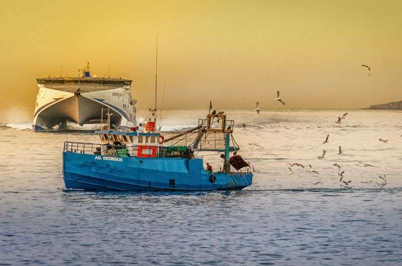 Fishing in the Norwegian sea