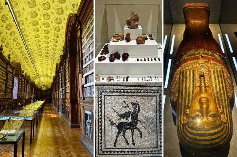 Exhibits in Archeological Museum and Gallery of Parma at the Palazzo della Pilotta in Italy, photos by Next Level of Travel 