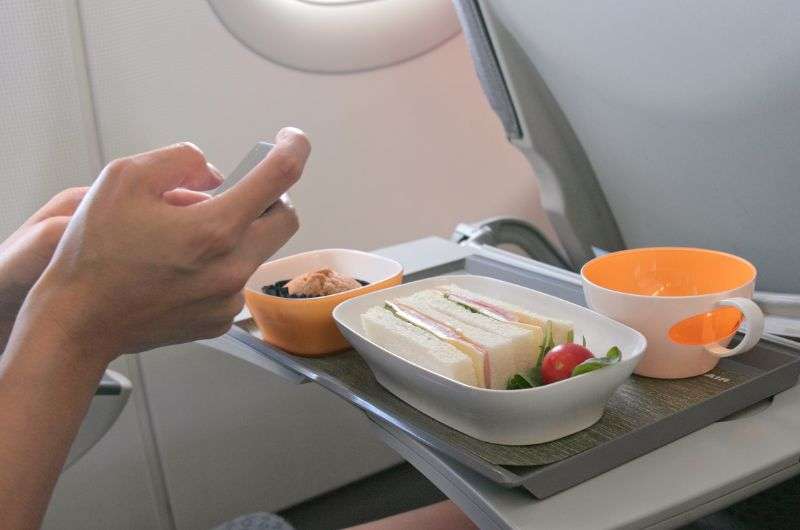 Food on tray table in Lufthansa plane