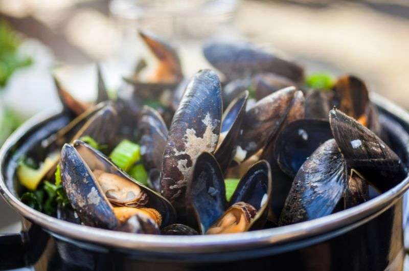 Chef preparing mussels 